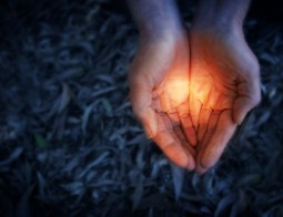 iStock_000002145962XSmall