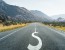 Dollar symbol on endless asphalt road as symbol of financial sta